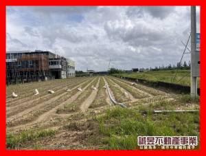 誠昱/新化近國八72.