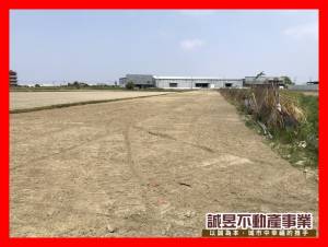 誠昱/台江大道旁雙面路都.