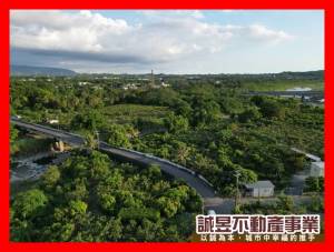 誠昱/近玉井市中心精華農.