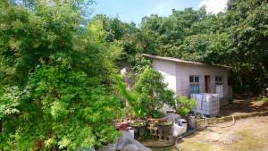 誠昱/九層嶺山坡保育地