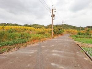 誠昱/國三六甲裕農都內農.