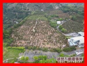 誠昱/雲頂民宿旁邊農地1