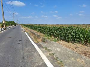 誠昱/鹽水孫厝寮500重.